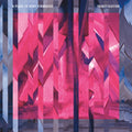 the album cover for A Place To Bury Strangers - Transfixiation