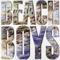 the album cover for The Beach Boys - Beach Boys [Vinyl]