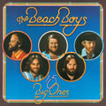 the album cover for The Beach Boys - 15 Big Ones [Vinyl]