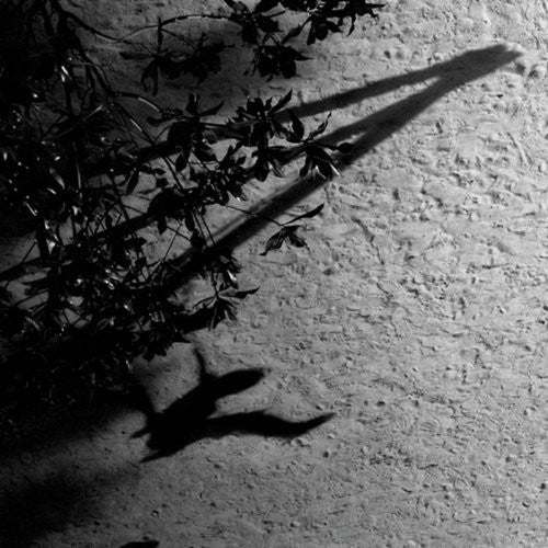 the album cover for Max Richter - The Blue Notebooks [Limited Edition Vinyl]