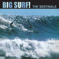 the album cover for Sentinals - Big Surf