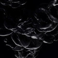 the album cover for Gaiser - False Light