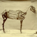 the album cover for Chadwick Stokes - The Horse Comanche [Vinyl]