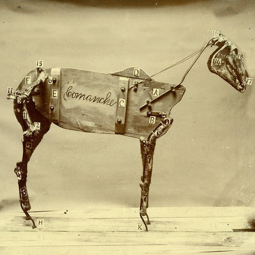 the album cover for Chadwick Stokes - The Horse Comanche [Vinyl]