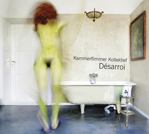 the album cover for Kammerflimmer Kollektief - Desarroi