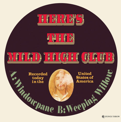 the album cover for Mild High Club - Windowpane / Weeping Willow [Vinyl Single]