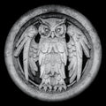 the album cover for Monarchy - Abnocto