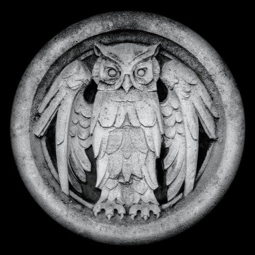 the album cover for Monarchy - Abnocto