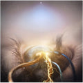 the album cover for The Agonist - Eye of Providence