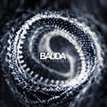 the album cover for Bauda - Sporelights