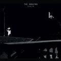 the album cover for The Amazing - Picture You