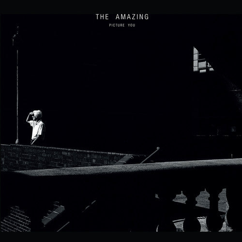 the album cover for The Amazing - Picture You