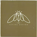 the album cover for Cicada Rhythm - Cicada Rhythm