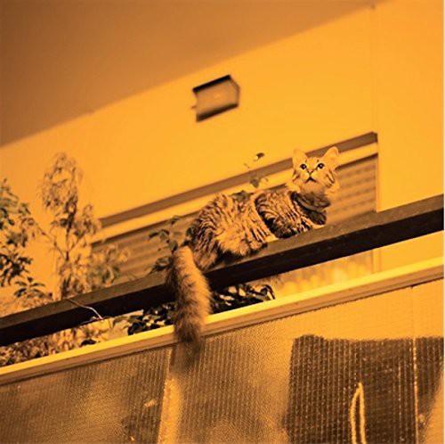 the album cover for Sam Prekop - Republic