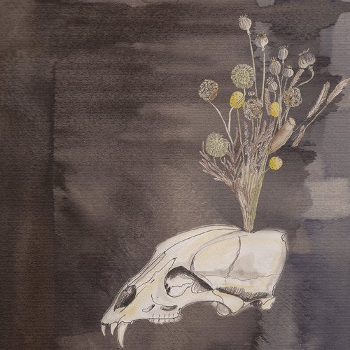 the album cover for Black Twig Pickers - Seasonal Hire [Vinyl]