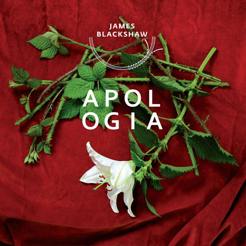 the album cover for James Blackshaw - Apologia