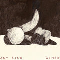 the album cover for Any Kind - Other [Vinyl]