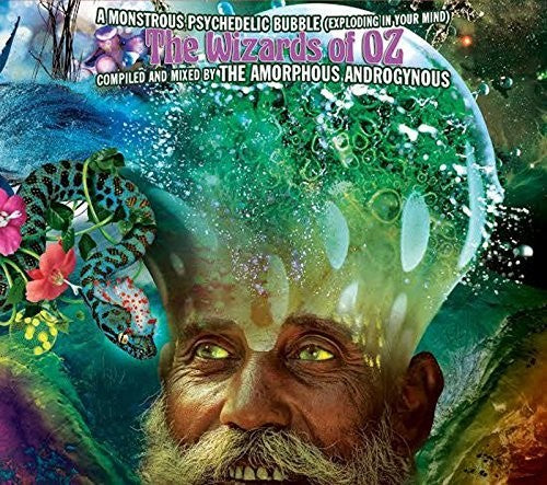 the album cover for Amorphous Androgynous - Monstrous Psychedelic Bubble-The Wizards Of Oz