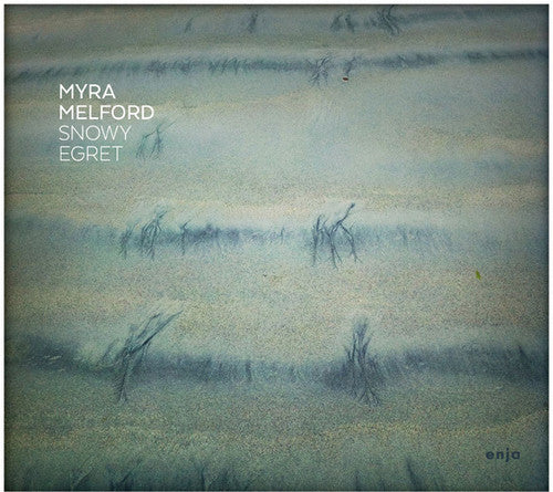 the album cover for Myra Melford - Snowy Egret [Digipak]