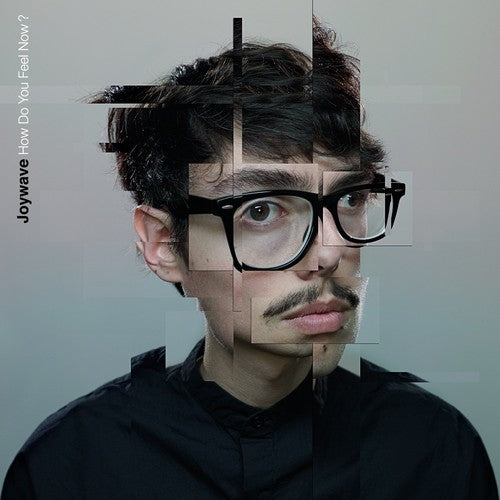 the album cover for Joywave - How Do You Feel Now? [Vinyl]