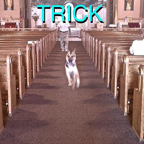 the album cover for Alex G - Trick [LP]