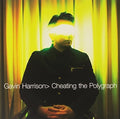 the album cover for Gavin Harrison - Cheating the Polygraph