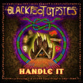 the album cover for Blackfoot Gypsies - Handle It