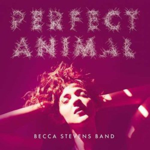 the album cover for Becca Stevens Band - Perfect Animal