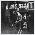 the album cover for Halestorm - Into The Wild Life [Vinyl]