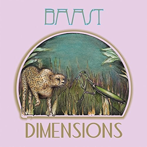the album cover for Baast - Dimensions