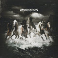 the album cover for Awolnation - Run [Vinyl]