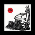 the album cover for Nate Young / Regression - Blinding Confusion