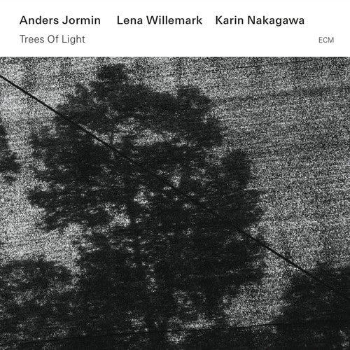 the album cover for Anders Jormin - Trees of Light