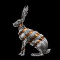 the album cover for San Fermin - Jackrabbit