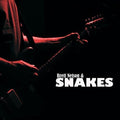 the album cover for Brett Netson & Snakes - Scavenger Cult