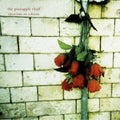 the album cover for The Pineapple Thief - Variations On A Dream [Vinyl]