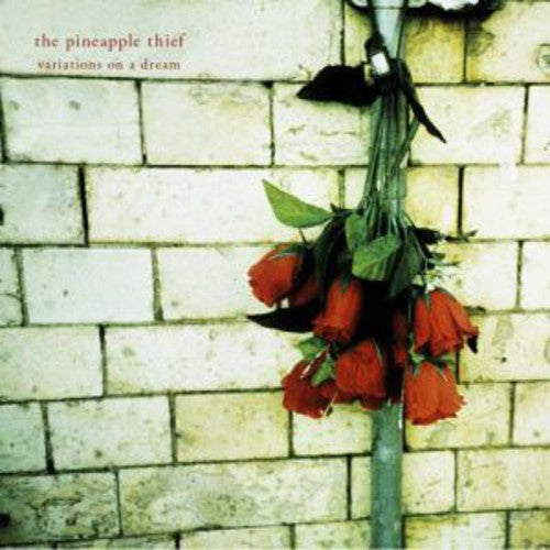 the album cover for The Pineapple Thief - Variations On A Dream [Vinyl]
