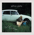 the album cover for Saffron Pistils - Too Cool to Be Popular