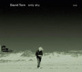 the album cover for David Torn (Jazz) - Only Sky