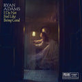 the album cover for Ryan Adams - I Do Not Feel Like Being Good / How Much Light [Limited Edition Vinyl Single]