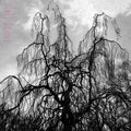 the album cover for Colin Stetson - Never Were the Way She Was