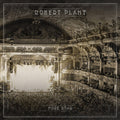 the album cover for Robert Plant - More Roar