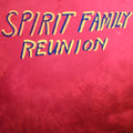 the album cover for Spirit Family Reunion - Hands Together