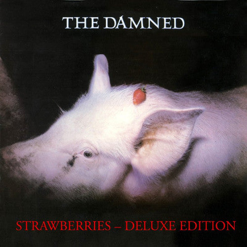 the album cover for The Damned - Strawberries