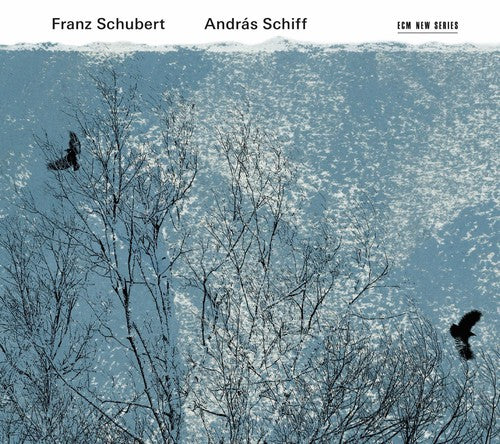 the album cover for Andras Schiff - Franz Schubert