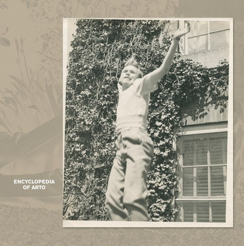 the album cover for Arto Lindsay - Encyclopedia of Arto 