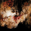 the album cover for Shining - IX / Everyone Everything Everywhere Ends [Vinyl]
