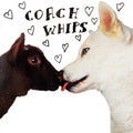 the album cover for Coachwhips - Bangers Vs. Fuckers
