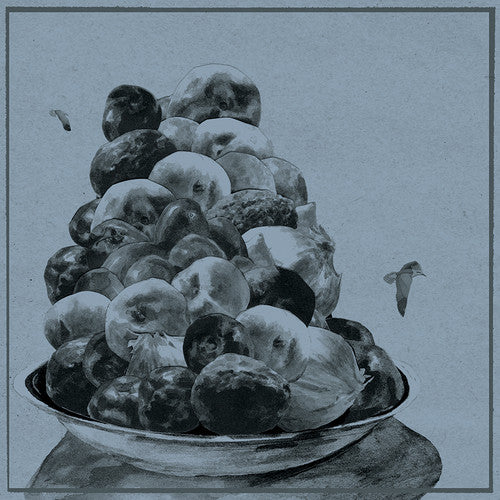 the album cover for Hop Along - Painted Shut