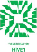 the album cover for Tyondai Braxton - Hive1